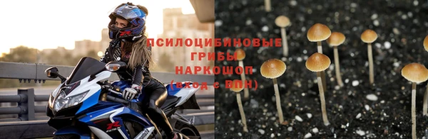 марки nbome Карпинск