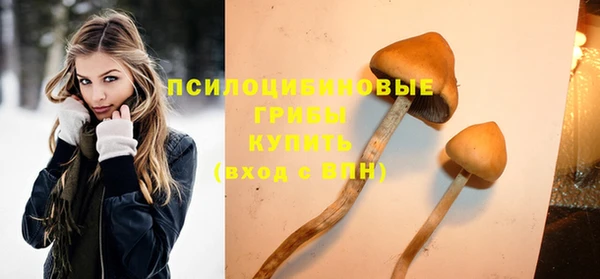 бутират Касимов
