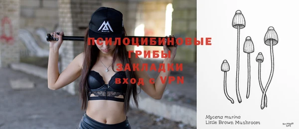 марки nbome Карпинск