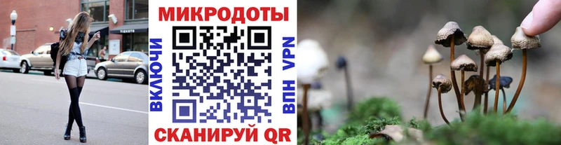 Купить  Богучар  Галлюциногенные грибы мухоморы 